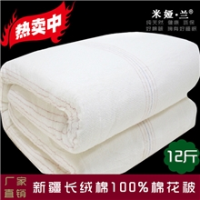 支持定购100%棉花被芯被褥长绒棉花棉絮棉胎被褥垫被冬被全棉被批