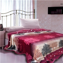 现货供应南通至娜家纺350克加厚金貂绒毯毛毯批发南通家纺