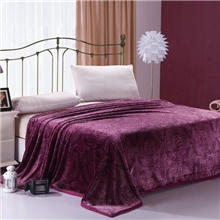 南通货源至娜家纺350克加厚冰貂绒毯毛毯批发现货供应