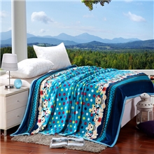 南通货源南通至娜家纺350克加厚冰貂绒毯毛毯批发现货供应