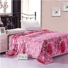 厂家直销南通至娜家纺350克加厚冰貂绒毯毛毯批发南通家纺