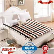 815新品厂家批发学生宿舍单人双人床垫子防滑褥子绗缝床护垫