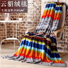 秋冬加厚云貂绒毯多功能秋冬毛毯批发包边绒毯