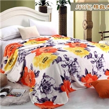 毛毯|双面印花|拉舍尔|懒人毯|婴儿毯舒棉绒毛毯