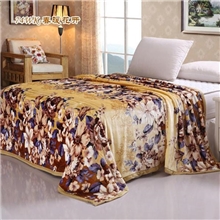 毛毯|拉舍尔|双面绒毯子|厂家批发|婴儿毯舒棉绒毛毯|新品