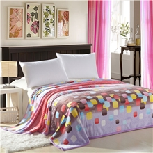 南通厂家直销批发高档单双人团购礼品贵族绒毯法兰绒云貂绒毯