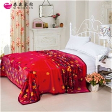 胜鑫毛毯质地细腻手感柔软空调被薄毛毯床上用品QQ122179382