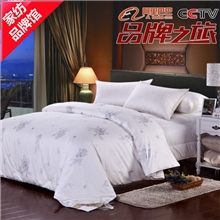 2014新款全棉纯桑蚕丝被批发特级桐乡天然纯手工冬被优等品