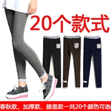 韩国秋冬HM小猫纯棉女士九分加厚加绒保暖裤刺绣义乌打底裤批发