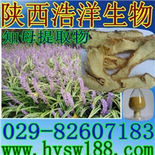 厂家专业生产供应知母提取物/植物提取物