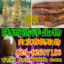 专业生产供应肉苁蓉提取物补肾壮阳食品级