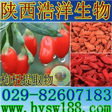专业供应枸杞提取物/枸杞多糖WolfberryExtract