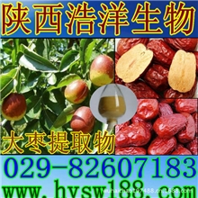 现货供应红枣提取物补气养血食品级厂家现货销售