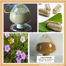 植物提取物厂家龙胆提取物龙胆草提取物