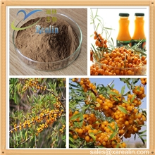 沙棘黄酮沙棘提取物