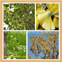 厂家直销品质优良银杏黄铜