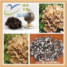 厂家直销现货供应灰树花多糖