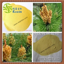 厂家现货供应优质破壁松花粉