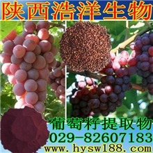 原花青素95%/葡萄籽提取物/抗氧化/防衰老/食品级