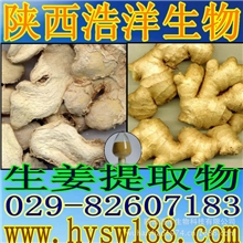 供应生姜提取物（姜辣素）