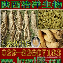 供应人参提取物/红参提取物（图）