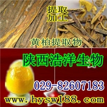 供应黄柏提取物／黄连素（盐酸小檗碱）Phellodendronextract