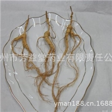 大量批发山参礼盒鉴证东北人参山参野山参2盒起