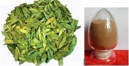 番泻叶提取物天然提取物厂家直供质优价更优