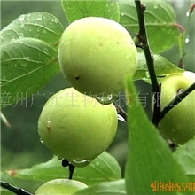 提供台湾欧美最新美容保健品招商代理贴牌