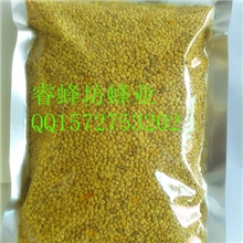 油菜杂花粉原料批发10kg起批