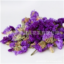 花草茶精选勿忘我美白肌肤减缓皱纹清肝明目富含维生素C