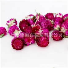 花草茶新茶千日红花茶美容养颜止咳化痰