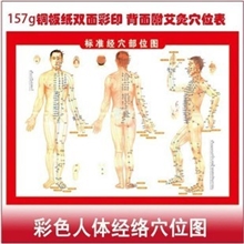 艾灸棒人体穴位经络图艾条纸穴位挂图