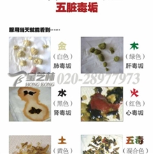 广州排毒养生量子排毒、五脏排毒、肝胆排毒