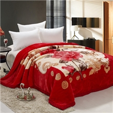 双层超柔加厚拉舍尔毛毯盖毯婚庆毯至尊毛毯200*2405公斤