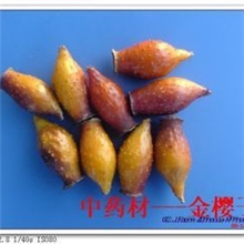 批发供应原产地中药材金樱子厂家直销