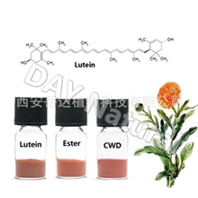 厂家现货供应叶黄素粉末万寿菊提取物（HPLC5%-90%）