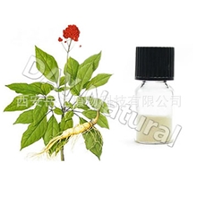 高品质供应人参提取物人参皂甙UV5%-80%10:1