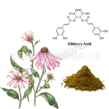 保健品厂家供应菊苣酸4%-紫锥菊提取物