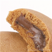 厂家直销瑞典经典口味瑞美加巧克力包馅曲奇饼干批发