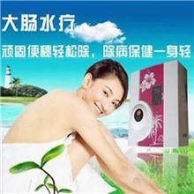 供应便秘治疗仪美容洗肠仪洗肠机治疗便秘的方法