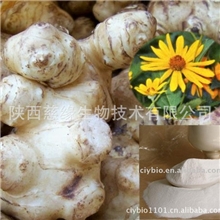 养颜美容食品级菊粉90%保健品原料上乘佳品欢迎咨询采购