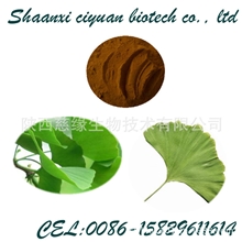 厂家大量现货供应银杏叶提取物10:1多种规格欢迎咨询选购