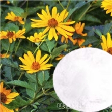 厂家热销纯天然植物提取菊粉90%菊糖减肥美容佳品效果显著