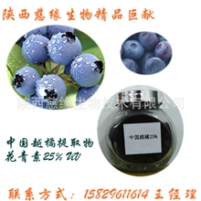 中国越橘提取物花青素25%营养价值高上等原料欢迎咨询选购