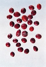 厂家优势比例产品供应酸枣仁提取物10:1可定制其他规格欢迎咨询