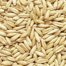 厂家供应：燕麦膳食纤维养颜美容减肥作用明显