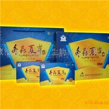 【冬虫夏草胶囊】保健品招商改善记忆提高睡眠