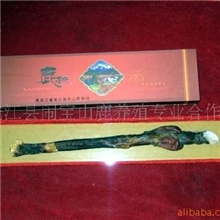 供应鹿产品/鹿鞭/补肾壮阳/增强性功能/延年益寿