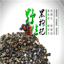 黑枸杞野生枸杞子批发枸杞批发量大优惠做的就是诚信